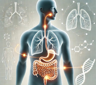 Supports Gut-Lung Axis