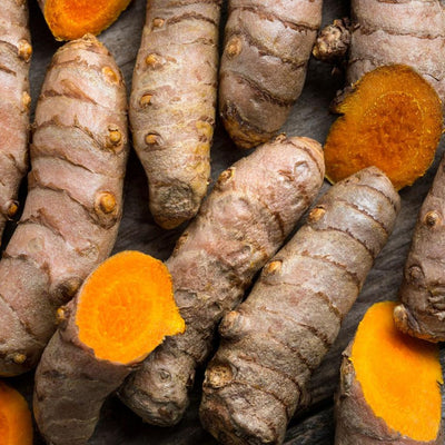 🌿 Turmeric (Curcuma Longa) Root Extract